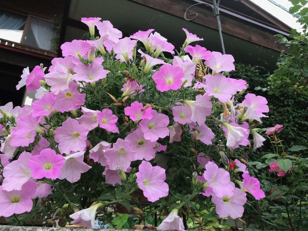 Yamagata Zao Pension Aplon Stage Kaminoyama Buitenkant foto